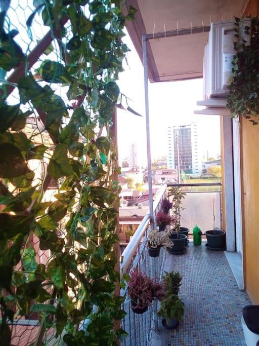 Apartament C&C - Cozy And Cute Mediolan Zewnętrze zdjęcie