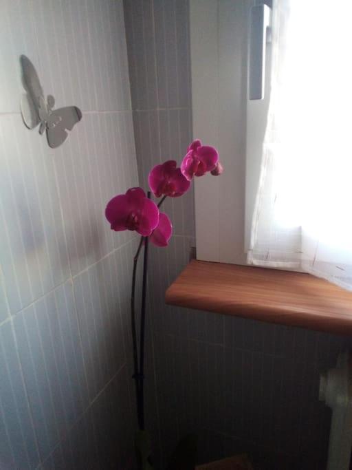 Apartament C&C - Cozy And Cute Mediolan Zewnętrze zdjęcie
